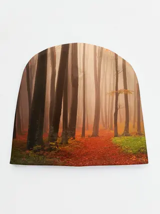 Детская шапка / Осенний лес