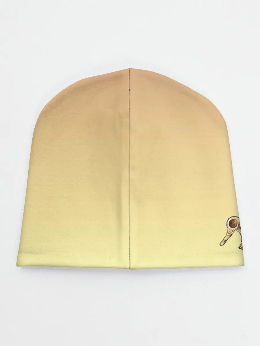 Детская шапка / Рон