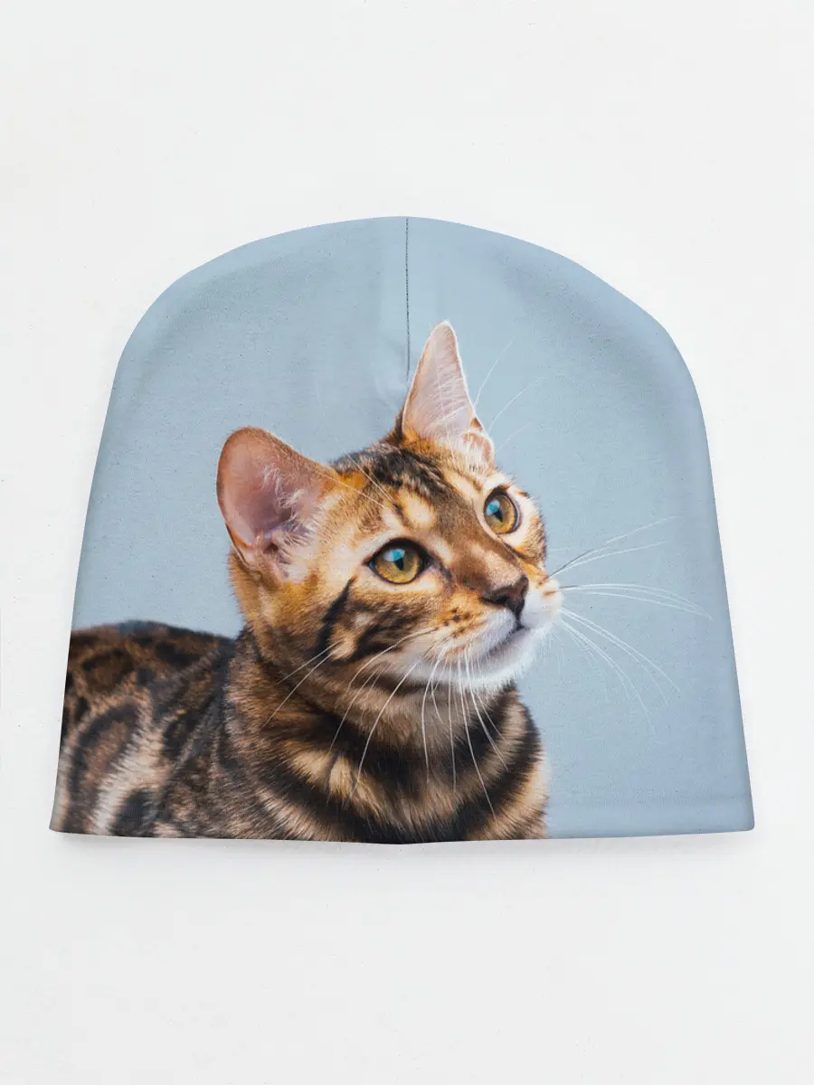 Детская шапка / Бенгальский кот