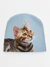 Детская шапка / Бенгальский кот