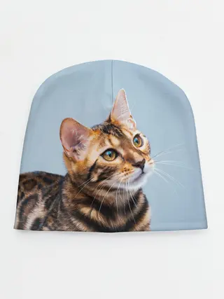 Детская шапка / Бенгальский кот