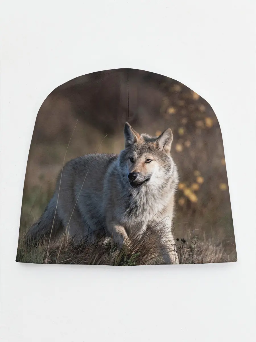 Детская шапка / WOLF