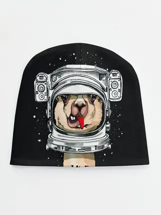 Детская шапка / Космическая Лама