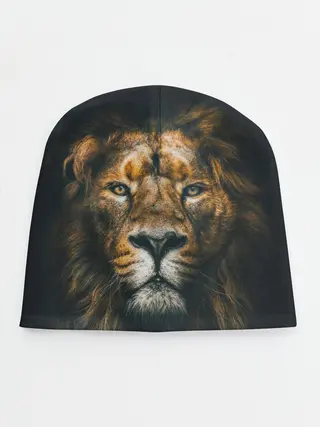 Детская шапка / Лев