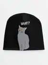 Детская шапка / What cat