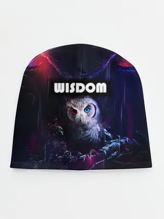 Детская шапка / WISDOM