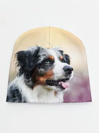 Детская шапка / Австралийская Овчарка