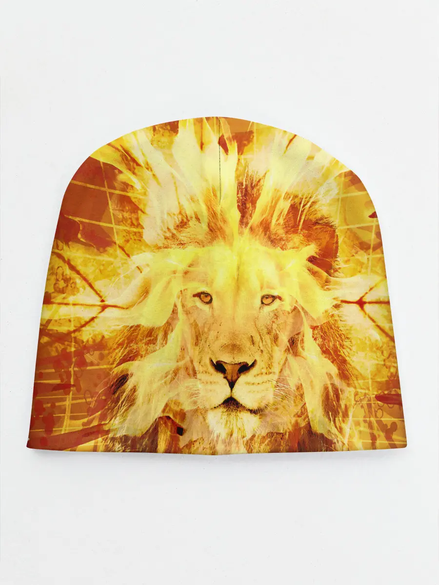 Детская шапка / Лев