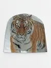 Детская шапка / Тигр