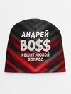 Детская шапка / Андрей БОСС решит любой вопрос