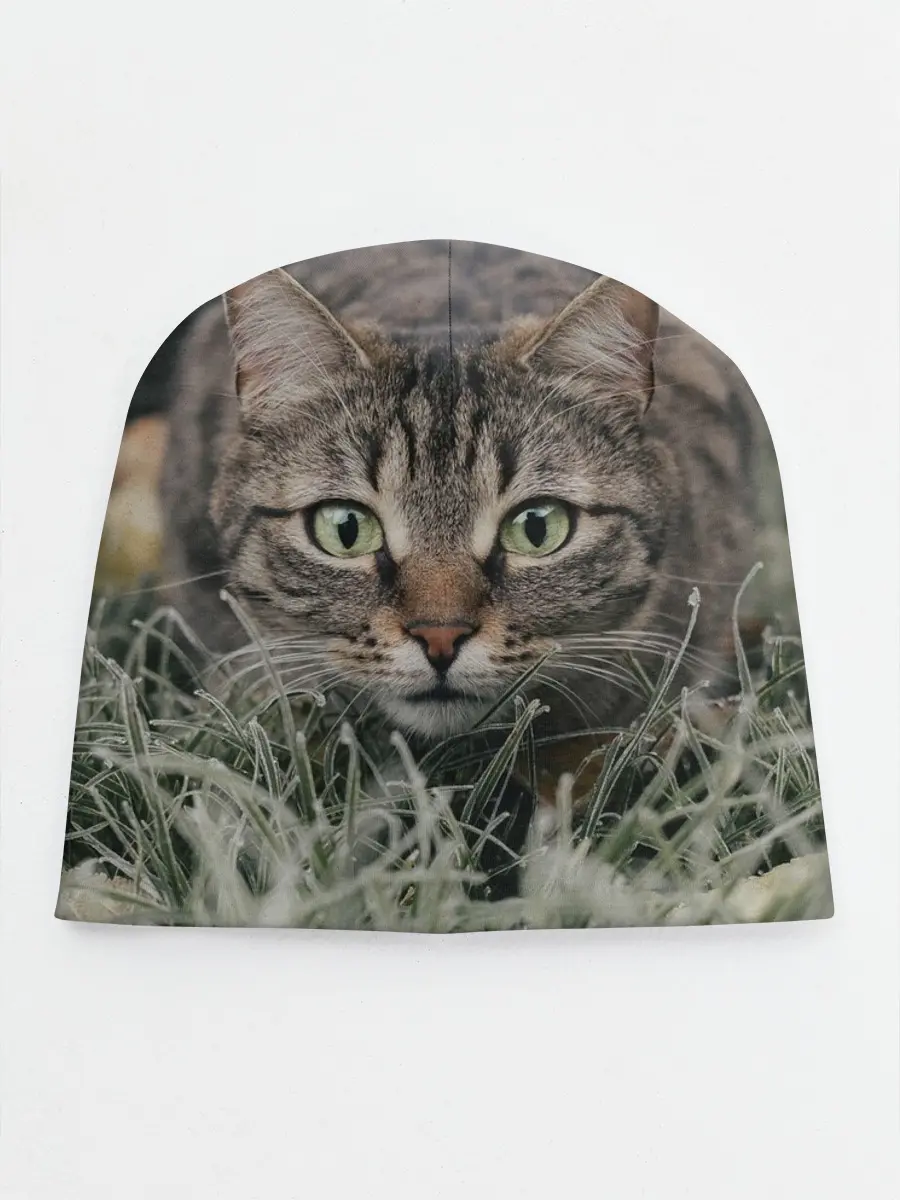 Детская шапка / Кошка
