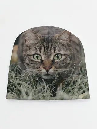 Детская шапка / Кошка