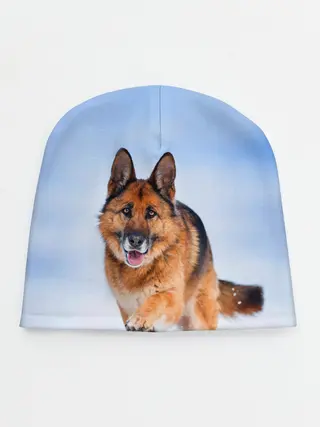 Детская шапка / Овчарка и снег