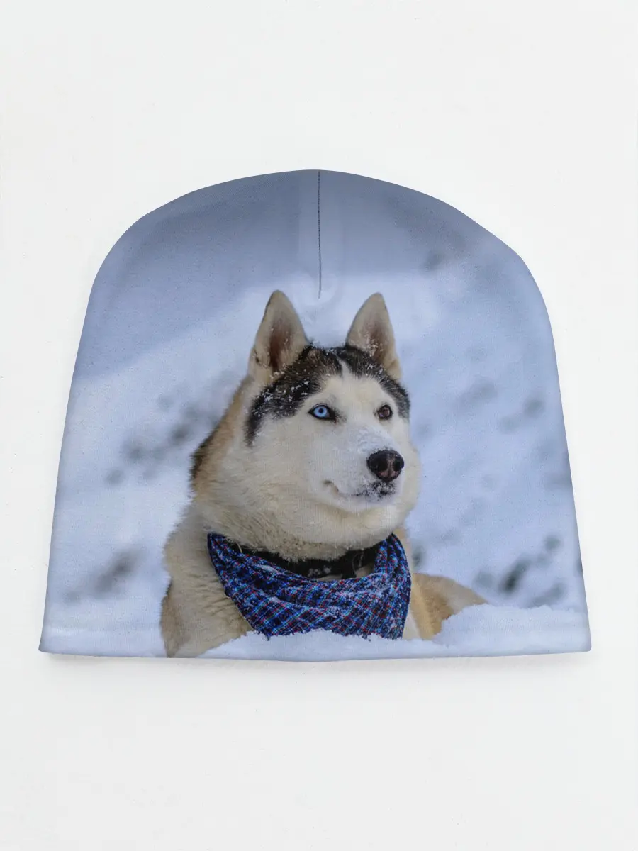 Детская шапка / Хаски