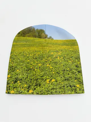 Детская шапка / Поле одуванчиков