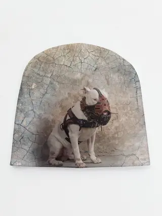 Детская шапка / Бойцовый бультерьер