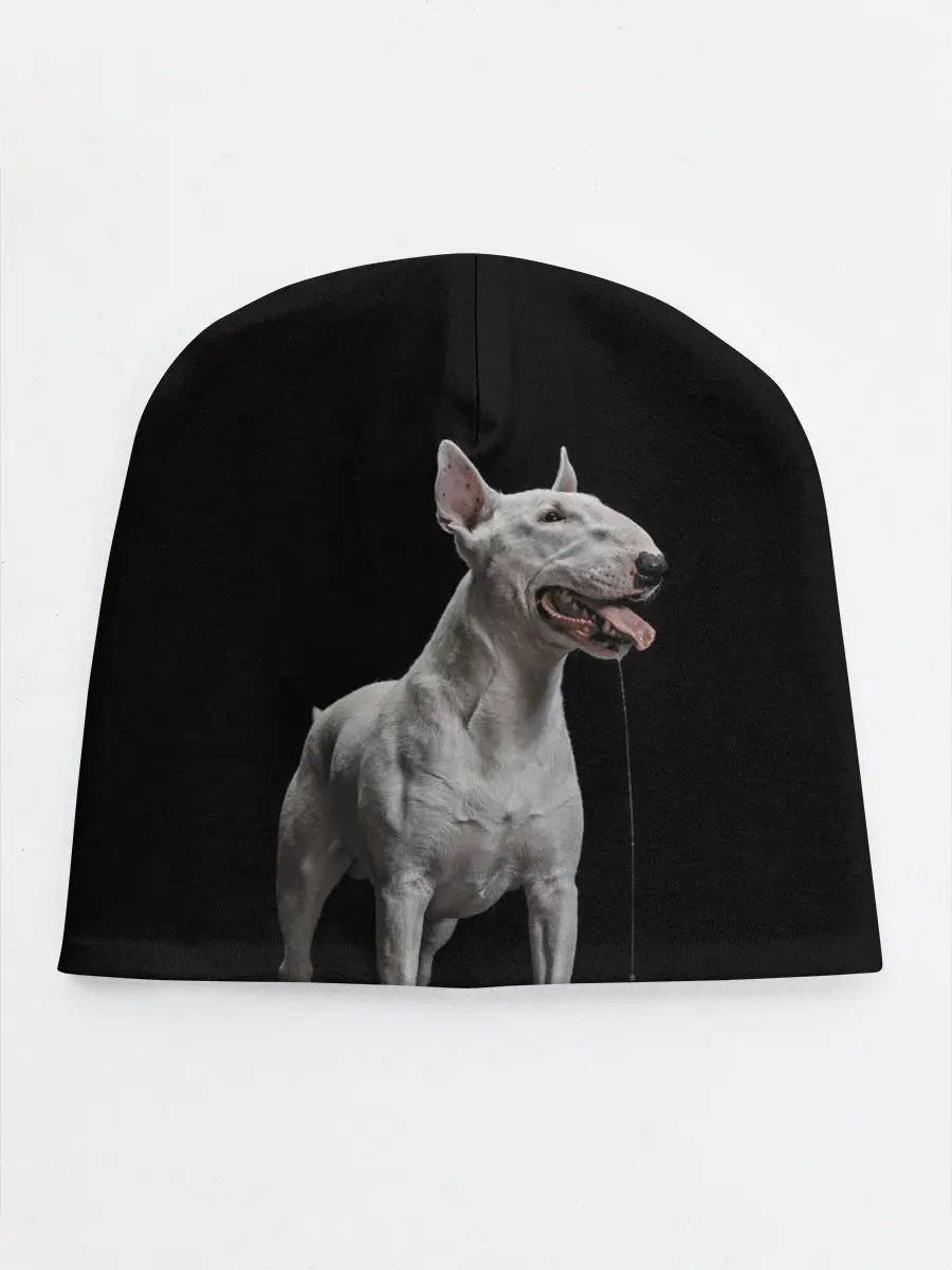 Детская шапка / Bully