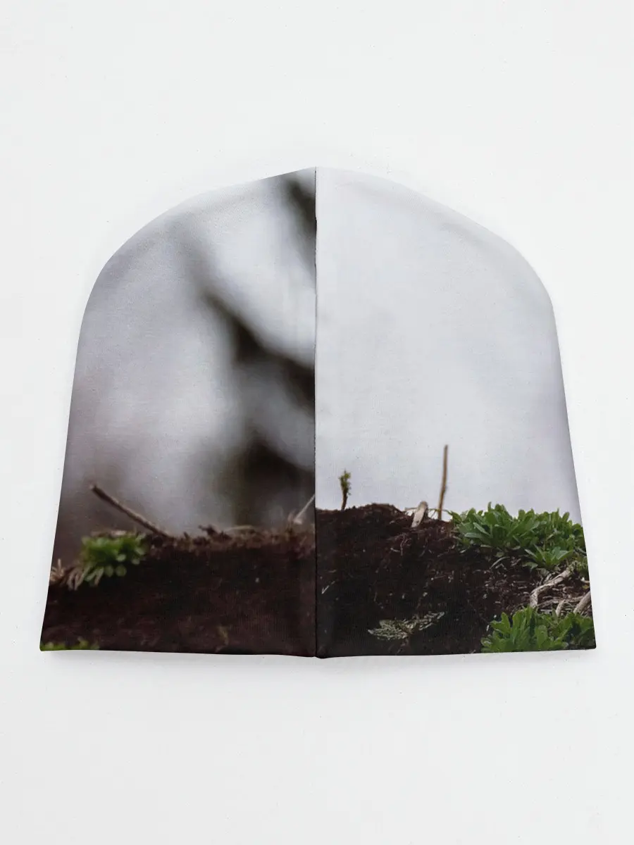 Детская шапка / Лиса