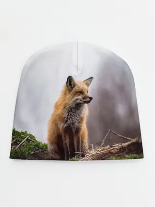 Детская шапка / Лиса