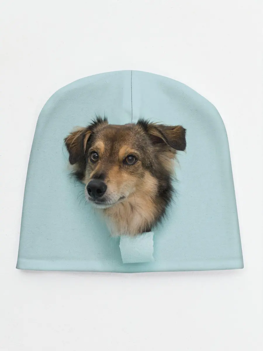 Детская шапка / Беспородная Собака дворняга / A Dog