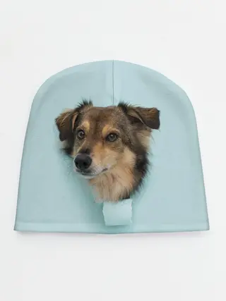Детская шапка / Беспородная Собака дворняга / A Dog
