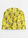 Детская шапка / Попугаи