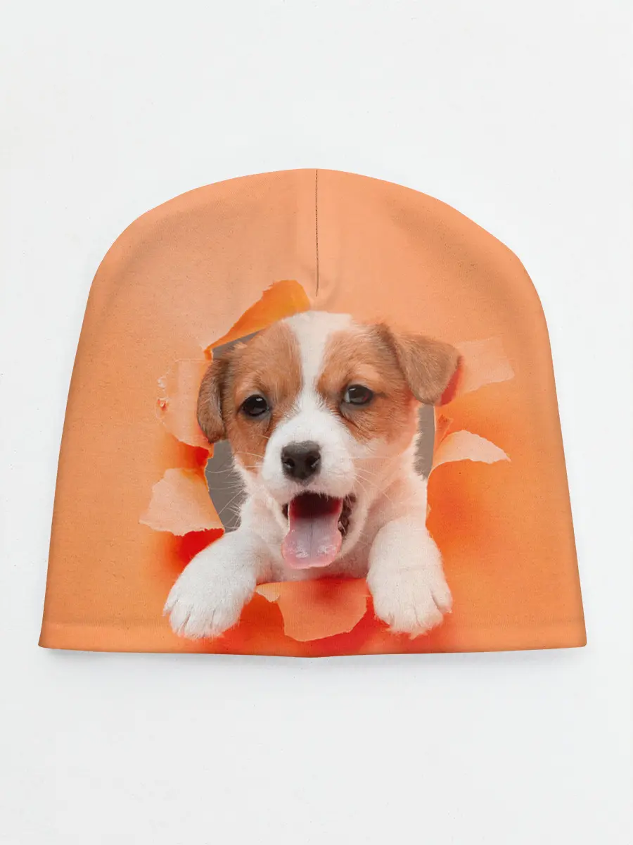 Детская шапка / Собака