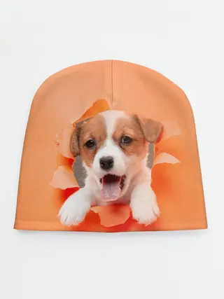 Детская шапка / Собака