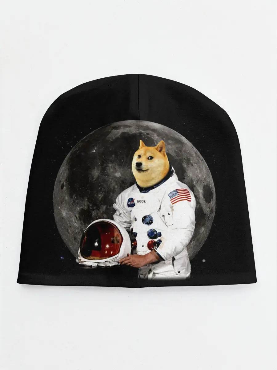 Детская шапка / Доги Космонавт