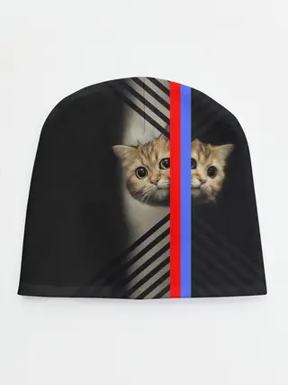 Детская шапка / Кот