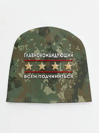 Детская шапка / ВСЕМ ПОДЧИНЯТЬСЯ