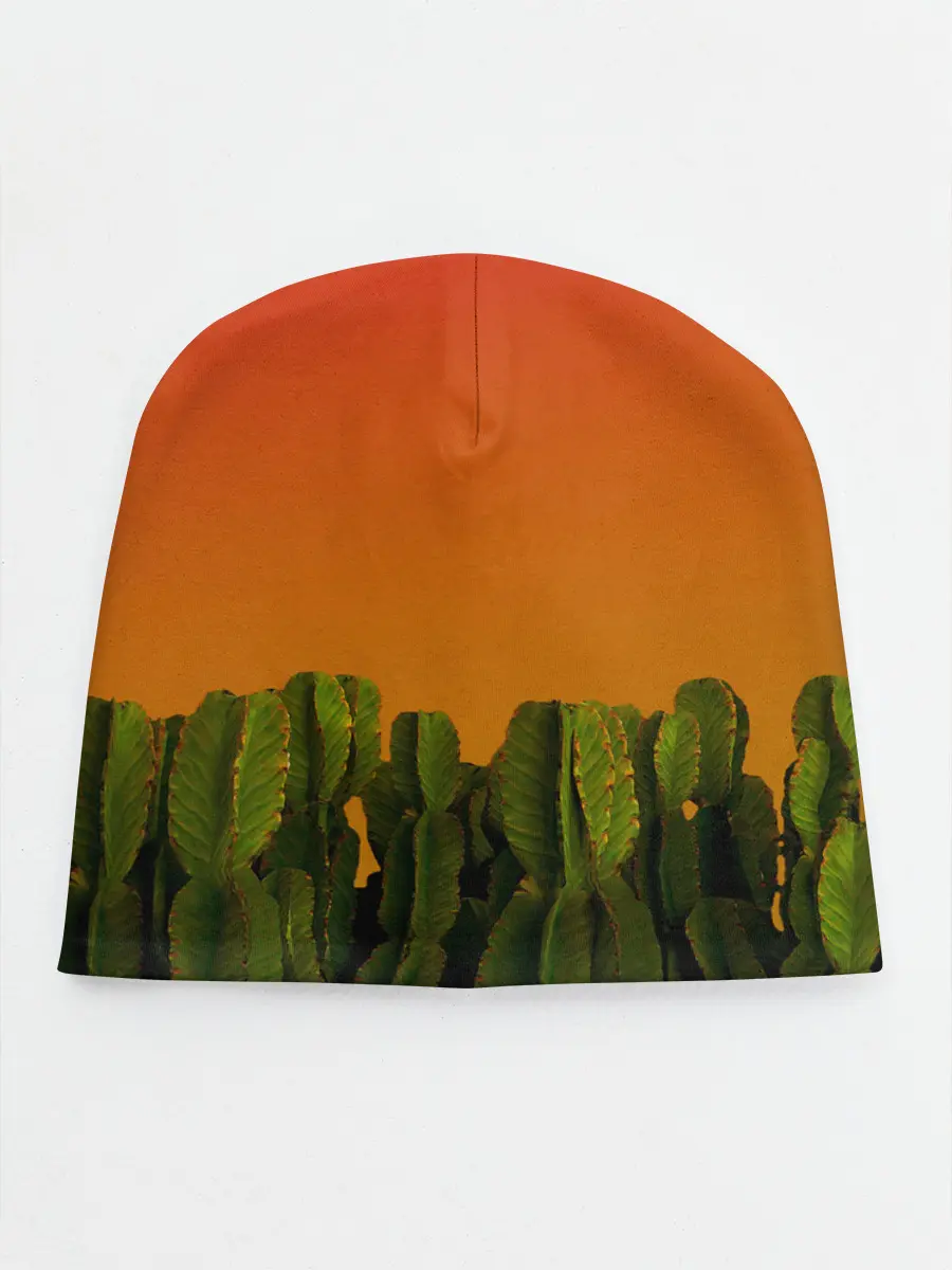 Детская шапка / Кактусы на закате
