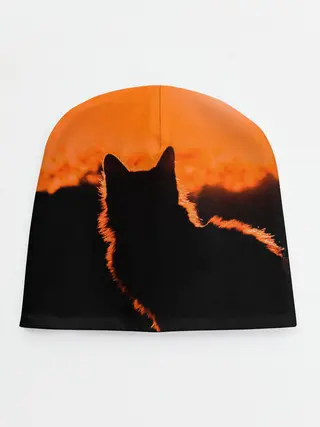Детская шапка / Котенок на фоне заката