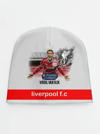 Детская шапка / Вирджил ван Дейк YNWA