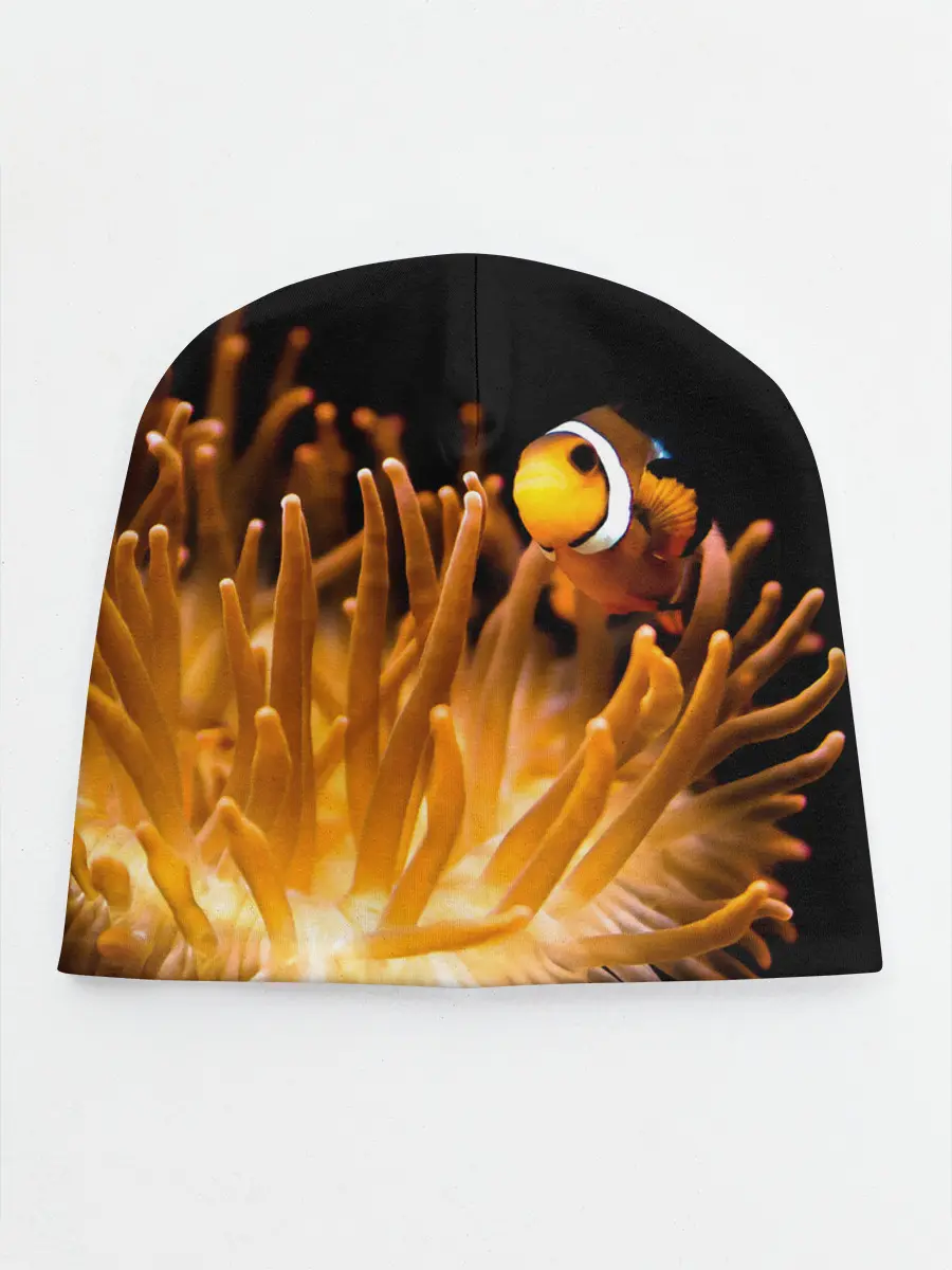 Детская шапка / Клоуны в актинии