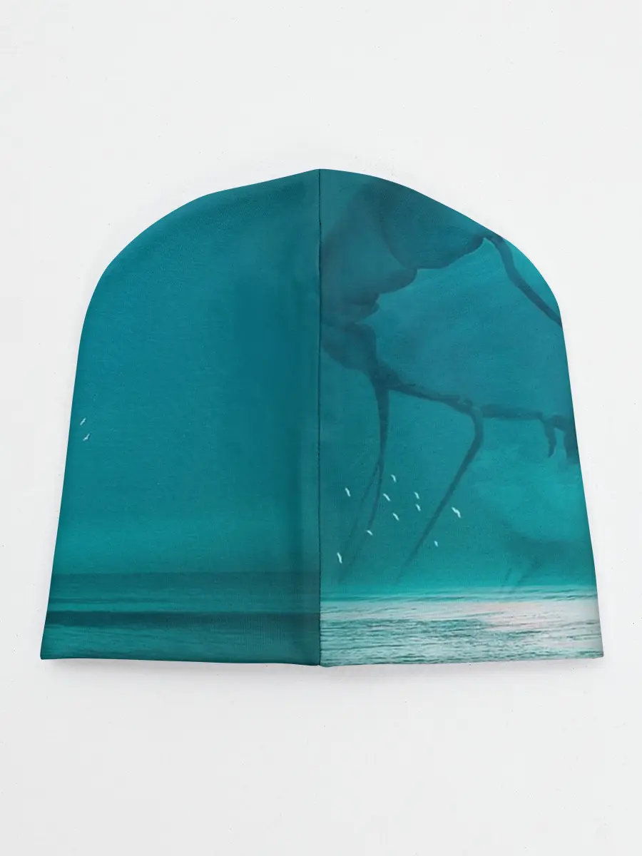 Детская шапка / Медуза и черепаха