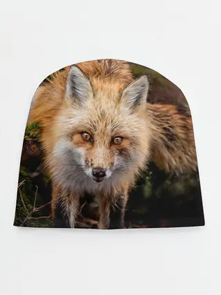 Детская шапка / Лиса