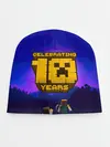 Детская шапка / Minecraft