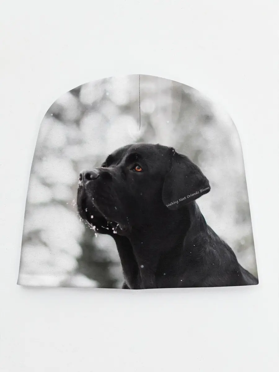 Детская шапка / Лабрадор Марк