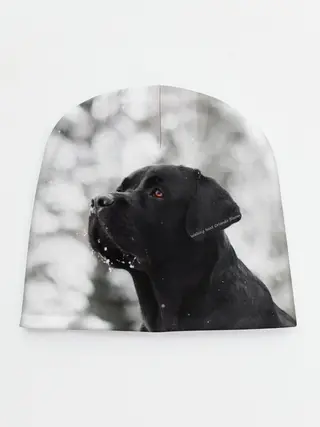 Детская шапка / Лабрадор Марк