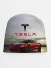 Детская шапка / Tesla Roadster