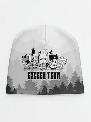 Детская шапка / Exceed Team