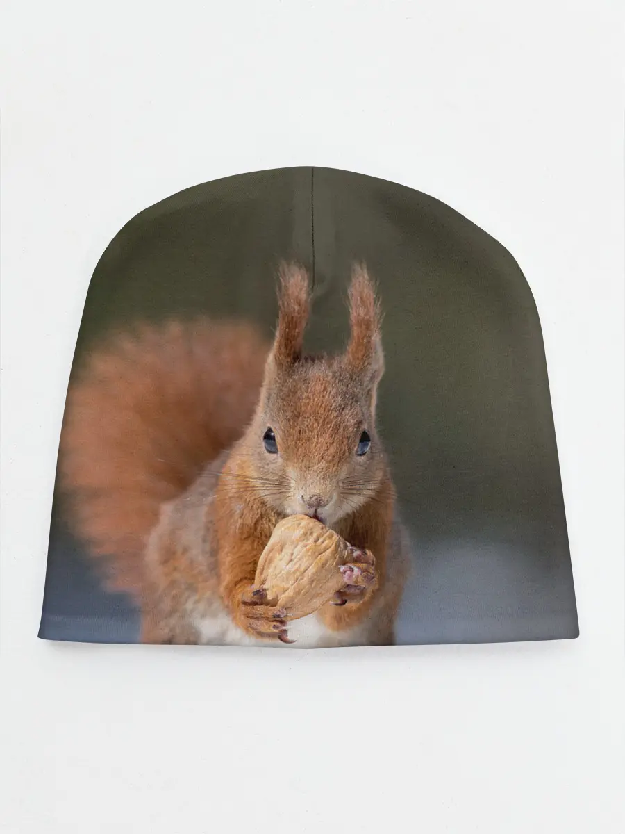 Детская шапка / белка с орехом на снегу