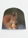 Детская шапка / белка с орехом на снегу