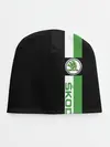 Детская шапка / Шкодавод | Skoda