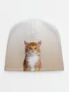 Детская шапка / бело-рыжий котенок реализм