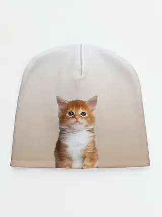Детская шапка / бело-рыжий котенок реализм