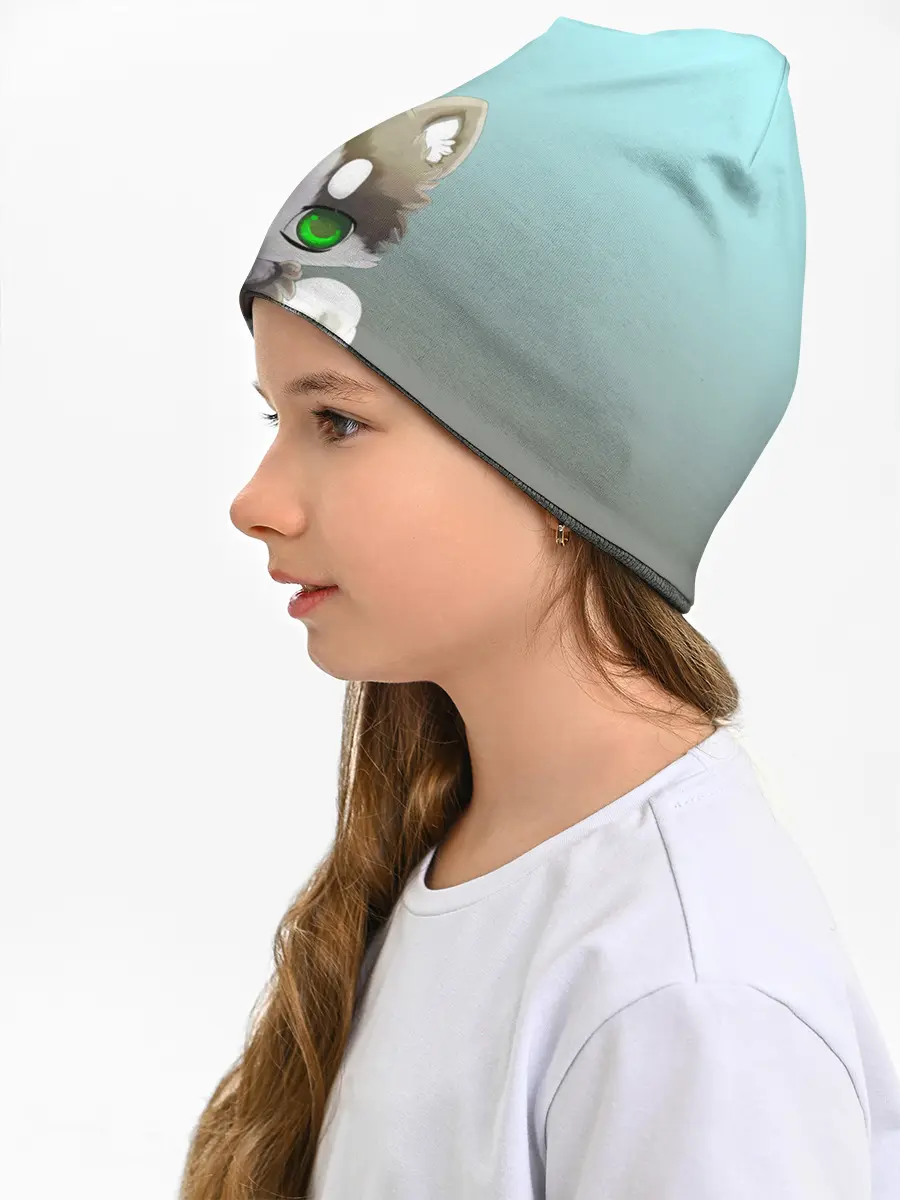 Детская шапка / Малыш хаски