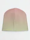 Детская шапка / суккулент градиент