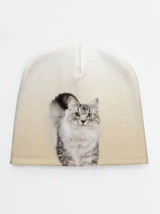 Детская шапка / Пушистый котик реалистичный